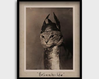 Funny Cat Viking II, Brunhilde Vintage Aged Cat Art, Fantazyjny nadruk kota; Dziwaczny obraz kota, Humorystyczny wystrój zdjęcia, Bezczelny celtycki miłośnik kotów