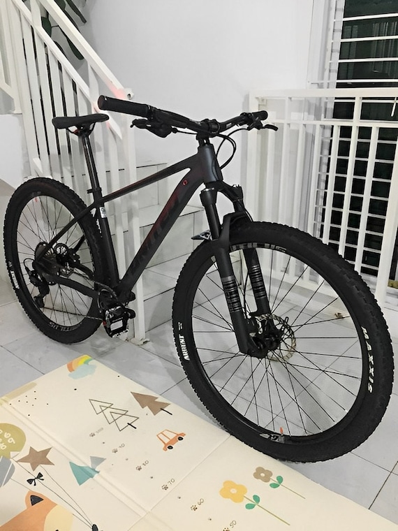 Rockshox mud flap sale