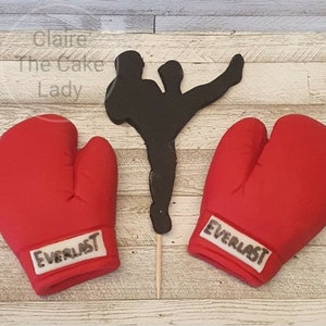 May include: Two red boxing gloves with the word "Everlast" printed on them. A black silhouette of a person in a fighting pose is in the background.