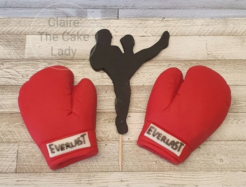 May include: Two red boxing gloves with the word "Everlast" printed on them. A black silhouette of a person in a fighting pose is in the background.