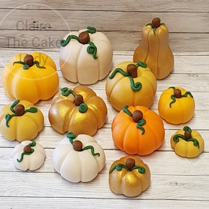 May include: A collection of 12 miniature pumpkins in various colours and finishes, including gold, white, and orange. Some pumpkins have green stems and leaves.