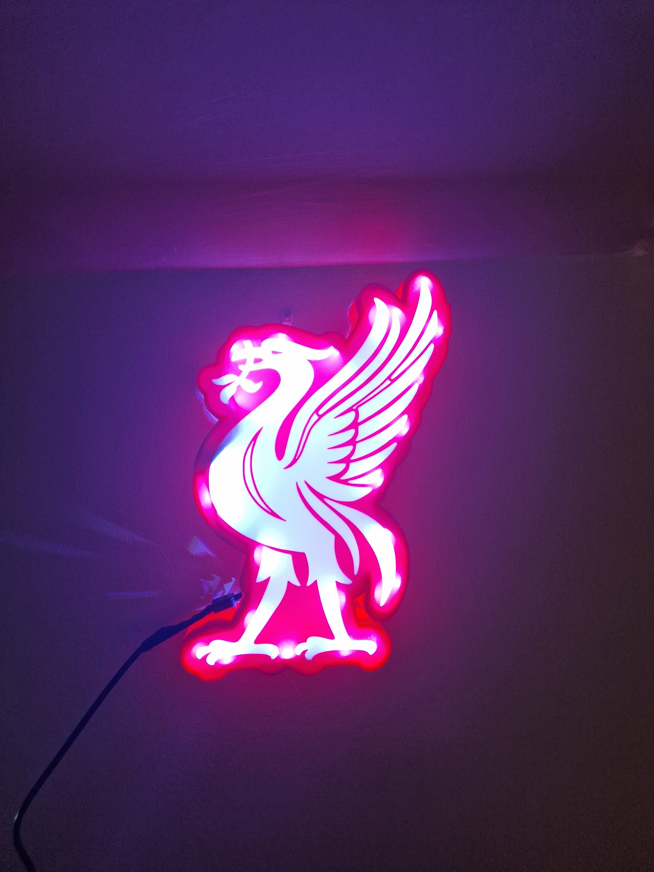 Liverpool Fc 3D Printed Liver Bird Lightbox Present for Etsy UK