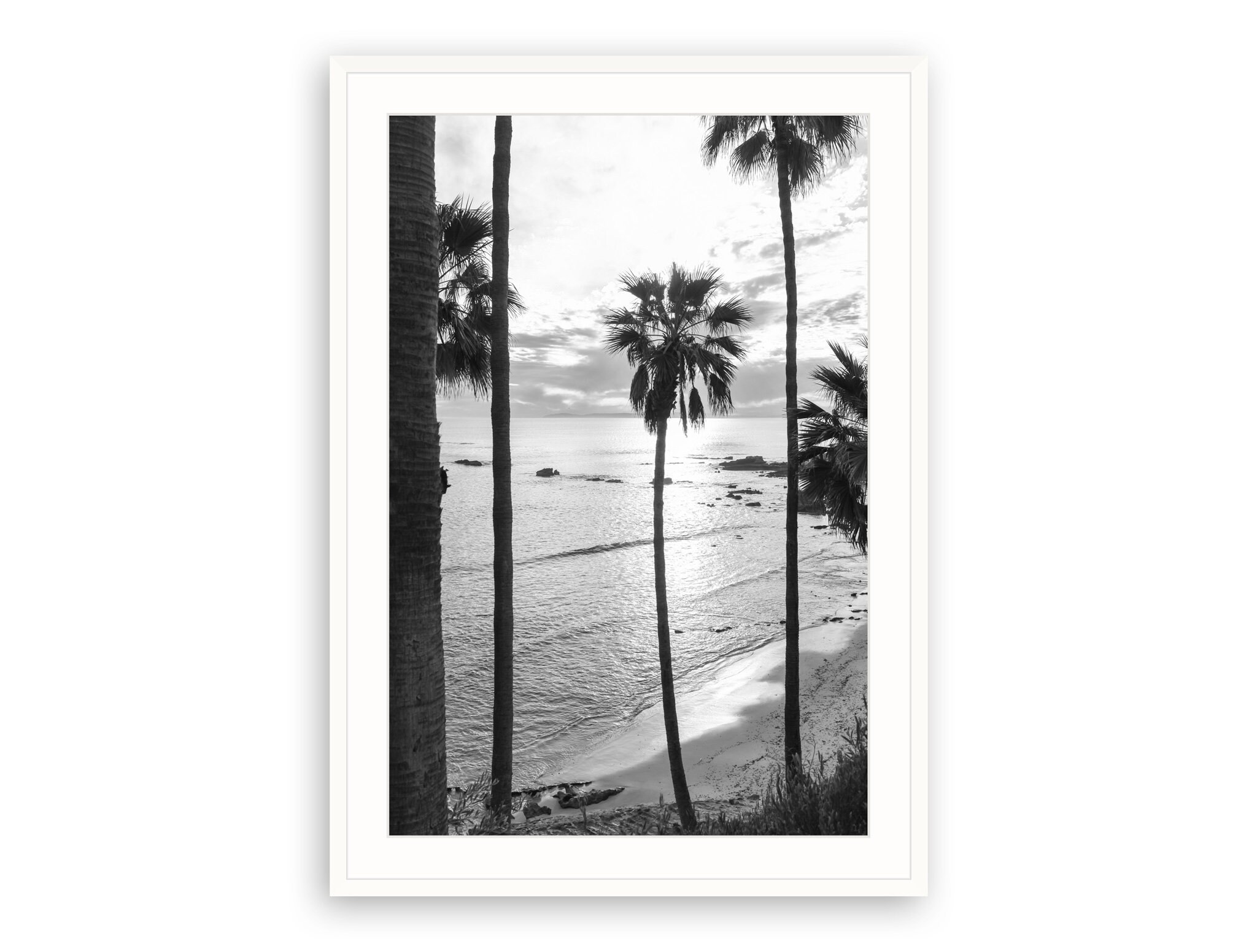 Laguna Beach Art Print, California Photograph, Black and White Photo, Palm Trees, Wall Art