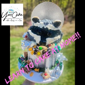 May include: A whimsical cake featuring a raccoon emerging from a silver trash can, decorated with candies and treats. The cake has a silver moon-shaped topper. The text "LEARN TO CAKE AT HOME!!" is visible.