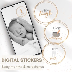 Babymaanden en babymijlpalen DIGITALE STICKERS voor Instagramverhalen en -posts, digitale planner nieuwe babystickers, IG-posts nieuwe moeder