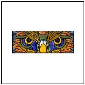 May include: A rectangular stained glass panel depicting the eyes of an owl. The artwork uses vibrant colours such as blue, yellow, orange, and green, highlighting the owl's intense stare. The panel is framed in white.