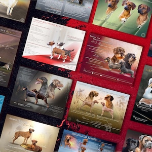 May include: A collection of colorful posters featuring different dog breeds. Each poster has a dog breed name, a description, and a photo of the dog. The posters are arranged in a random pattern on a red background.