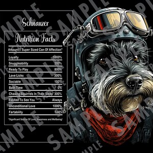 20 oz Skinny Tumbler Wrap Sublimatieontwerp Schnauzerhond met helm, voedingsinformatieblad, hondenmoeder, hondenliefhebber V4