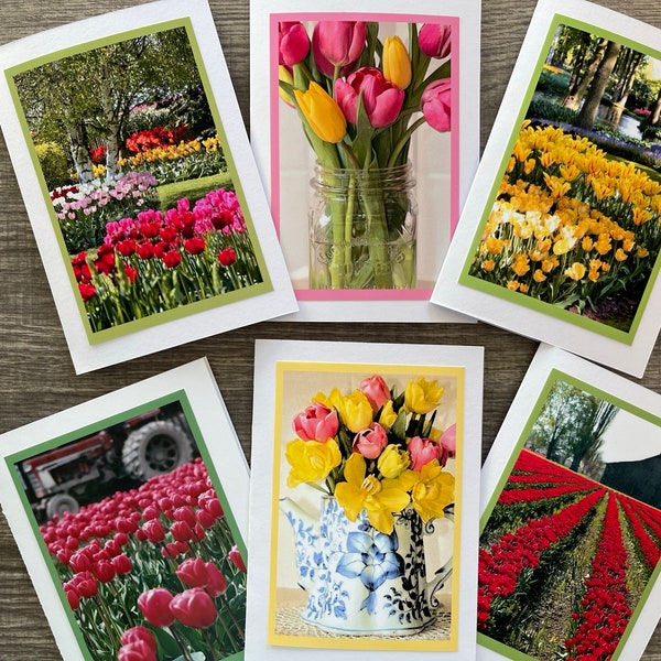 Tulip Cards, Tulip Greeting Cards, Tulip Photo Note Cards, Tulip Photo Stationary, Blank 5x7 Note Cards, Photo Greeting, Tulip Cards, Box #3