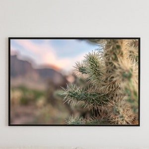 Kaktus Ästhetik, Fine Art Photography, Fotografie, Wandkunst