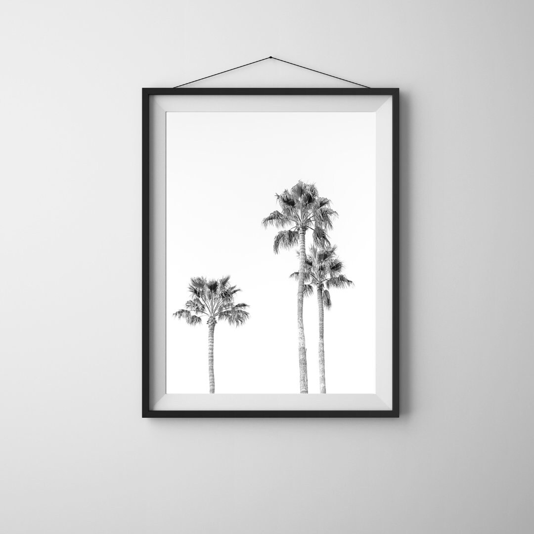 Black and White Palm Trees Print, Photography Wall Art, Fine Art Nature ...