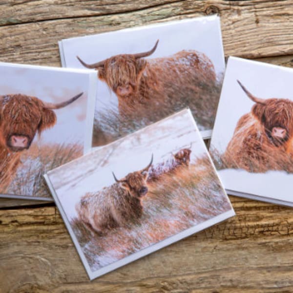 Highland Cow Greeting Card Set // 4 Gift Cards // Scottish Cards // Scotland Snowy Coo Note Cards // Blank Cards