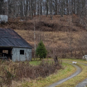 Country Roads ARCHIVAL PRINT