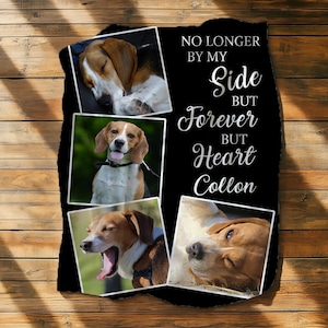 Personalized Dog Memorial Blanket: Custom Photo Pet Remembrance Throw