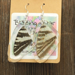 Real butterfly wing earrings made with zebra swallowtail forewings