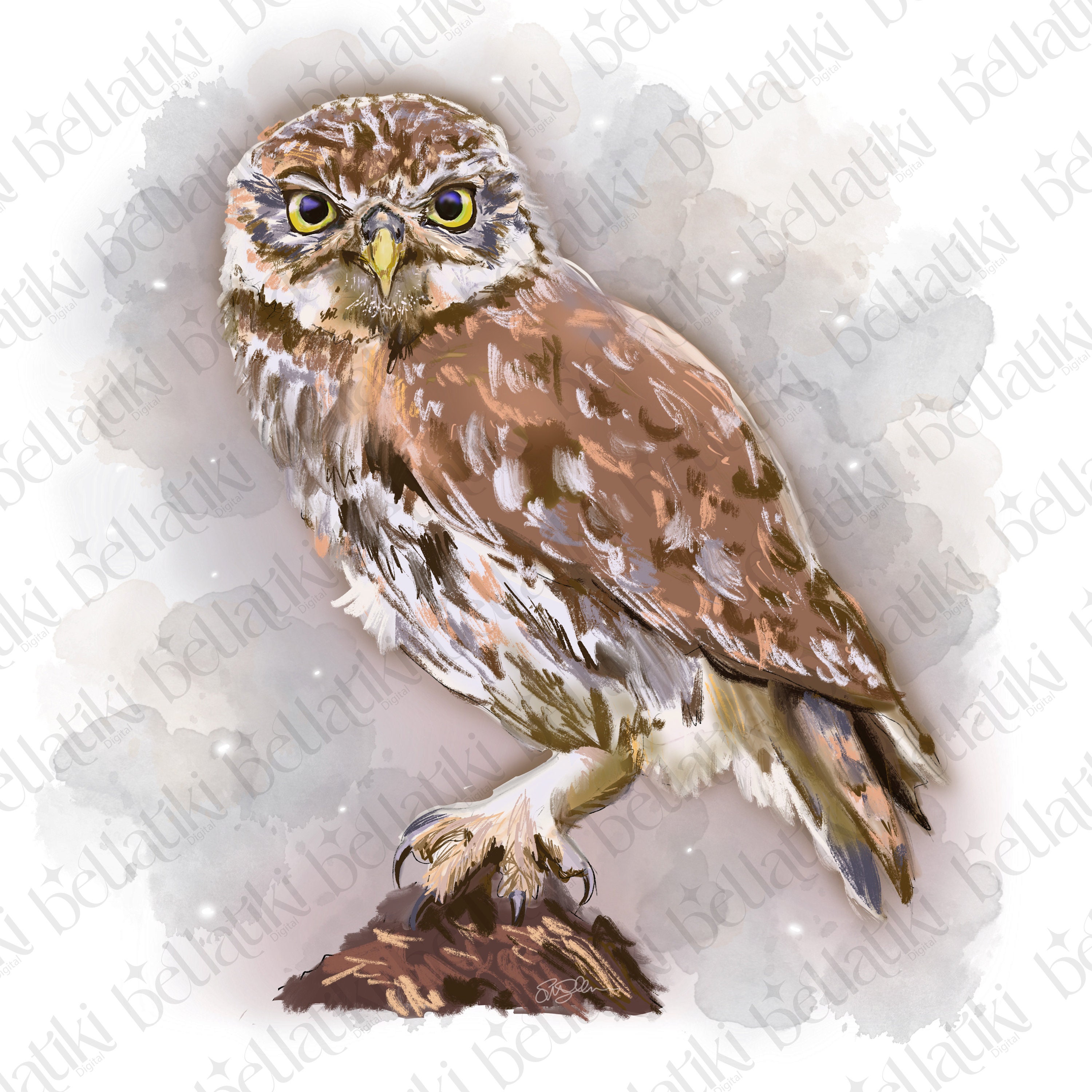 Owl PNG File: Original Artwork for Sublimation & Clip Art (Commercial Licence)