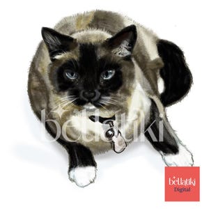 Siamese Cat Painting: Feline PNG File for Sublimation & Clip Art (Digital Download)