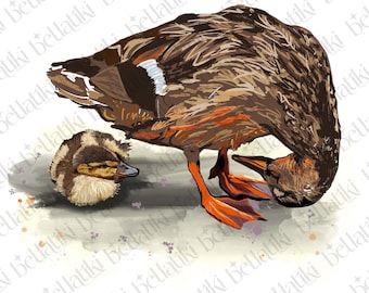 Ensemble de 3 fichiers PNG canard et caneton pour la fête des mères pour clipart et/ou sublimation | Oeuvre d'art originale | Licence commerciale incluse