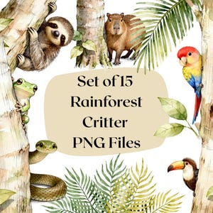 May include: A watercolour illustration of rainforest animals including a sloth, capybara, frog, snake, parrot, and toucan. The image includes the text "Set of 15 Rainforest Critter PNG Files" on a beige background, with tropical foliage.