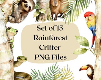 Rainforest Animal Clipart | Watercolor Jungle PNG Bundle (Digital Download