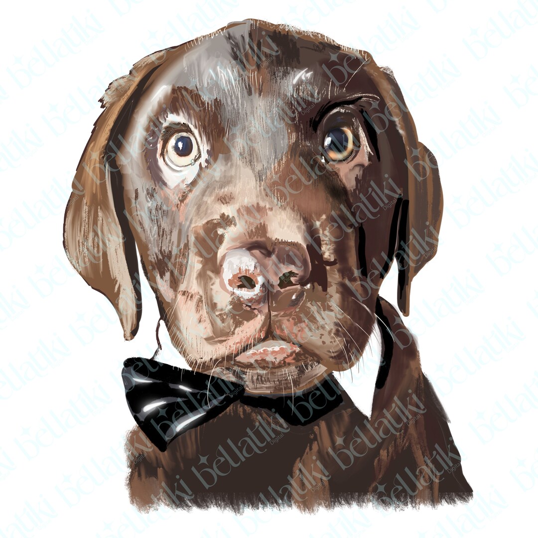 Chocolate Labrador Puppy PNG: Artist Painting Clip Art (digital ...
