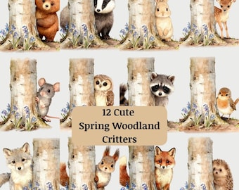 Watercolor Woodland Animals Clipart | Spring Nursery PNG (Digital Download)