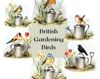 Watercolor British Garden Birds Clip Art, Spring PNG (Digital Download)
