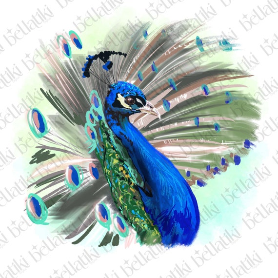 Peacock PNG file for Clip Art and/or Sublimation | Original Artwork | Commercial Licence included