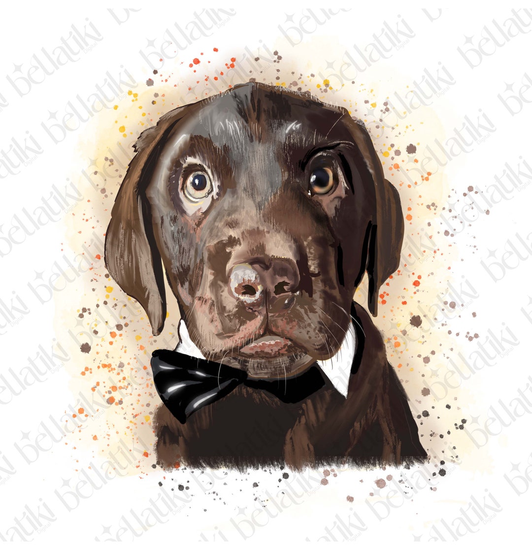 Bundle Chocolate Labrador Puppy Dog, Artist Painting PNG File for Clip ...