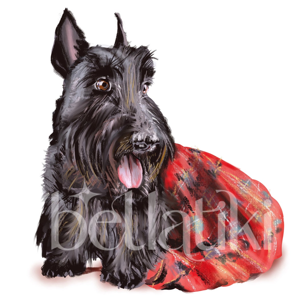 Black Scottish Terrier Scottie Dog in a Kilt Artist Painting Etsy
