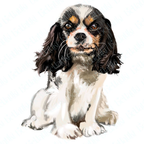 dog no background png