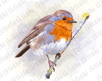 Clipart Robin PNG : lueur d'arrière-plan, licence commerciale (téléchargement numérique)