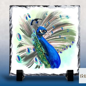 Peut inclure: Une peinture abstraite color&eacute;e d'un paon avec des plumes bleues, vertes et turquoise. Le paon fait face au c&ocirc;t&eacute; droit de l'image. L'arri&egrave;re-plan est vert clair et blanc.