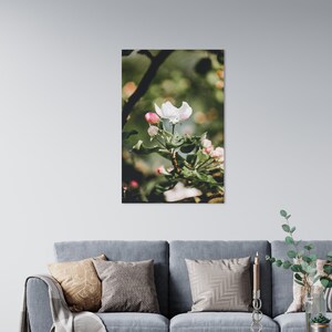 Apple Tree Blossom Photo Print / Spring Flower Poster / Nature Wall Art / Home Decor / Stampa poster verde / Stampa arte albero / Carta lustro