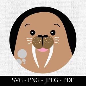 Hand Drawn Walrus SVG, PNG and other files, Kids Walrus Graphic, Cute Walrus JPG, Cute Sea Animal Cut File, Happy Walrus svg, Walrus Cartoon