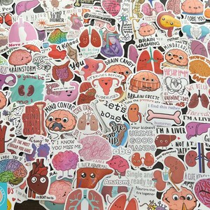 Anatomy Stickers, Cartoon Anatomy, Science, Random Sticker Packs 10/20/50 Pieces, NO REPEATS, Waterproof, UV Resistant, Free Shipping