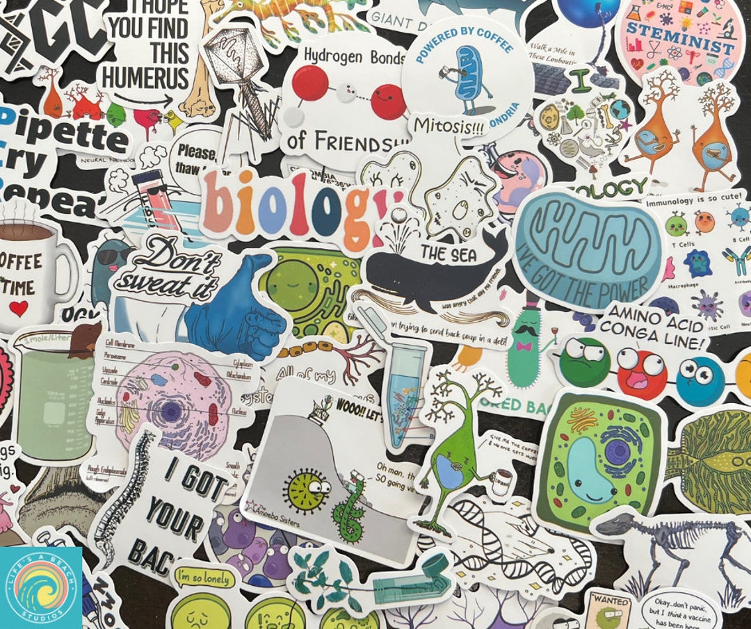 Biology Stickers, Biologist Gift, Biology Student, Random Sticker Packs 10/20/50 Pieces, NO