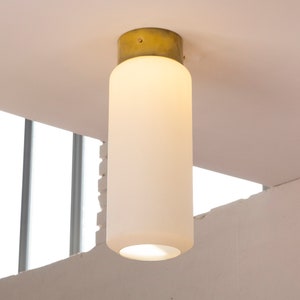 Vintage ceiling lamp in Murano glass and brass by Azucena Bin for Luigi Caccia Dominioni