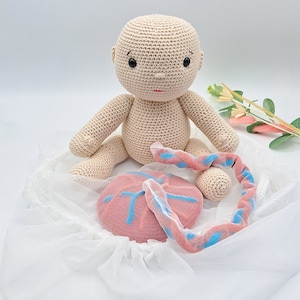 Ensemble BEBE, CORDON et PLACENTA dans sa poche amniotique -  Aide pédagogique prénatale pour Doula, Sage-femme et/ou Gynécologue