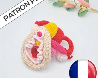 Häkelanleitung für ein komplettes weibliches Genitalsystem - FRANZÖSISCH