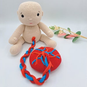 Crochet BABY, CORD and PLACENTA Set - Doula and Midwife Teaching Tools - Prenatal Teaching Aid - Ob-Gyn