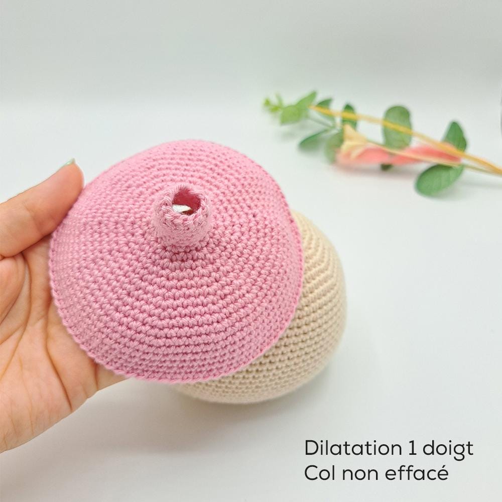 Cervical Dilation Pattern With Crochet Head - FRENCH - Etsy