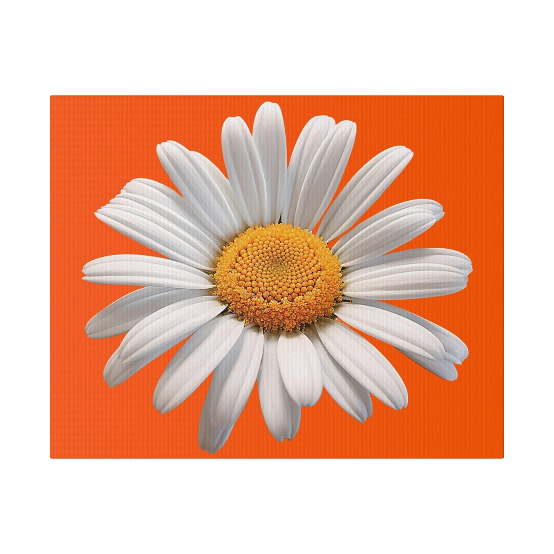 Canvas Print Orange Daisy, Daisy on Orange Background, Orange Side