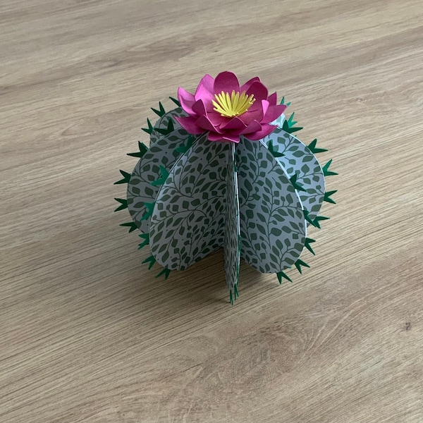 Kit DIY petit cactus en carton