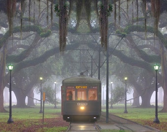 May include: A vintage streetcar travels down a tree-lined street in a foggy, misty setting. The streetcar is green and yellow with a white roof. The trees are tall and have long, hanging branches. The street is paved and there are streetlights on either side of the street.
