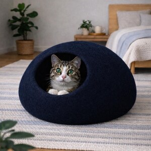 Peut inclure: Une grotte pour chat en feutre bleu marine fonc&eacute;, en forme de d&ocirc;me avec une ouverture circulaire. Un chat tigr&eacute; aux yeux verts, aux pattes blanches et au poitrail blanc repose &agrave; l'int&eacute;rieur, regardant droit devant, sa t&ecirc;te visible.