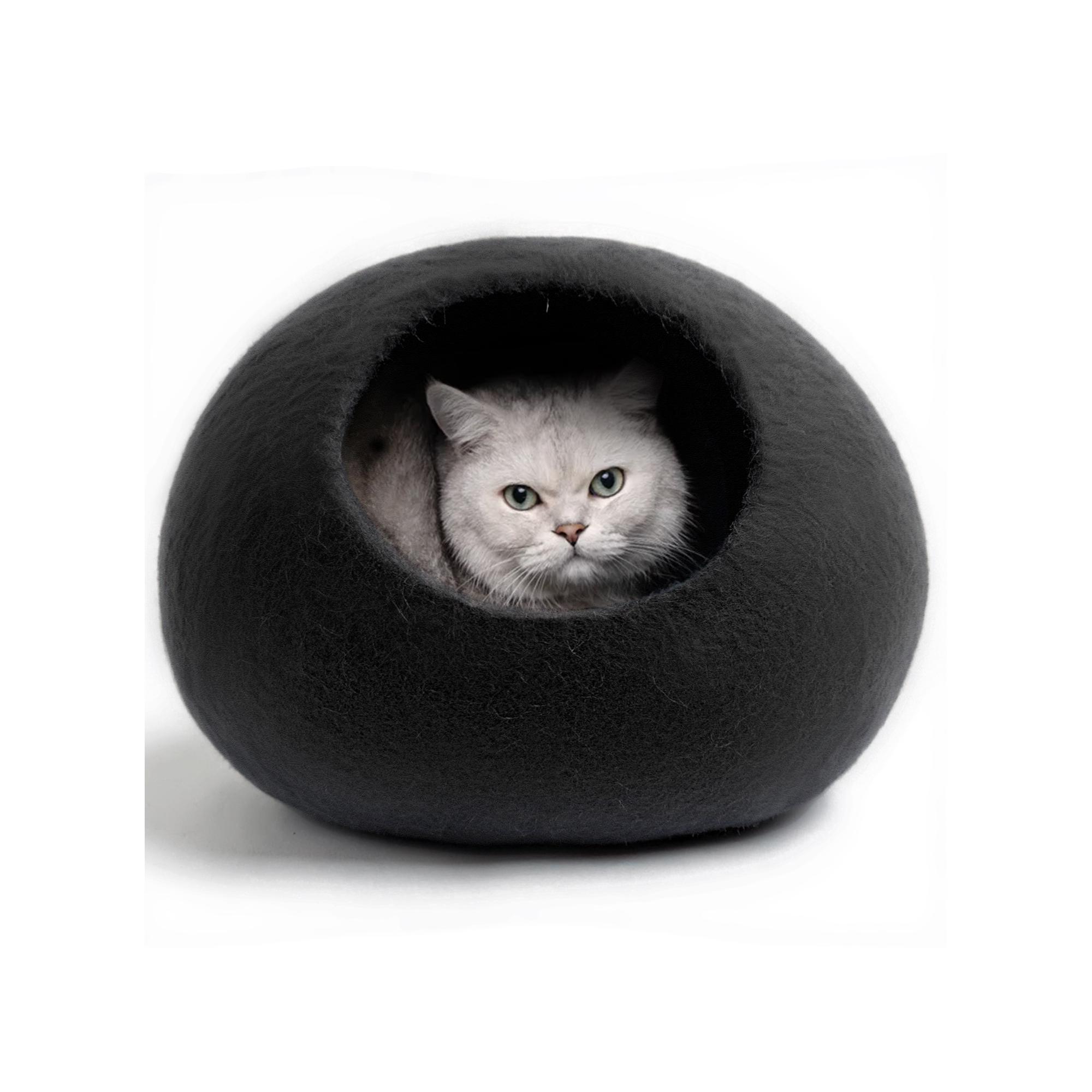 Whale Unusual Cat Beds Unusual Whales Lifetime Membership And Lifetime Site  Feature