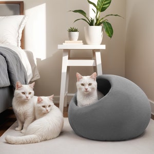 以下が含まれることがあります： 寝室にいる3匹の白い猫。2匹の猫は明るい色のラグの上に一緒に座っており、3匹目の猫はグレーの丸い猫用ベッドの中にいます。植物のある白いサイドテーブルが背景にあります。