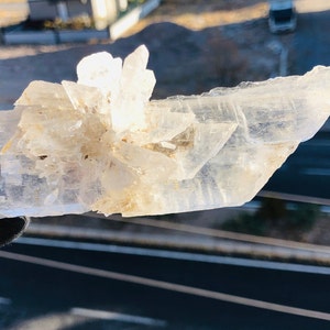 Water Clear Crystal of Selenite Cluster - Fishtail Selenite - Healing Crystal - Collector item