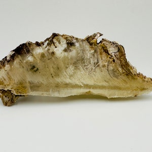 Explore the Magic of Raw Selenite Crystal - Stunning Gypsum Mineral Specimen for Crystal Collection